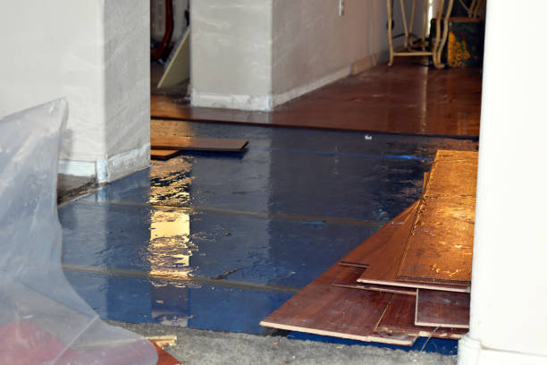 Professional Sewage Cleanup technician working in Litchfield, MI